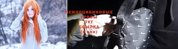 скорость Лиски