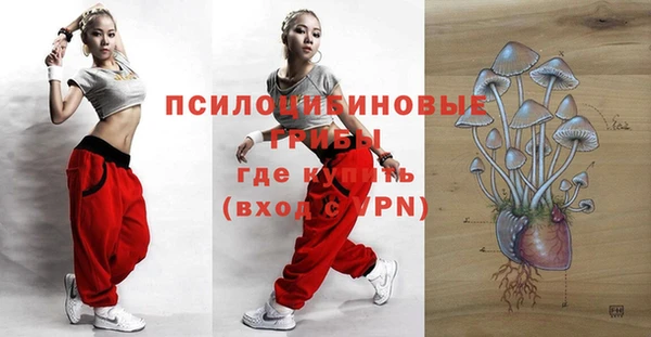 скорость Лиски