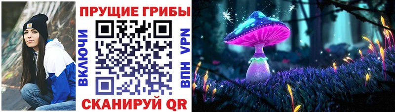 Псилоцибиновые грибы Psilocybe  как найти закладки  Светлый 